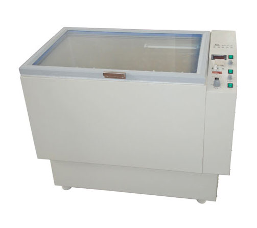 ȫ����ʎ��